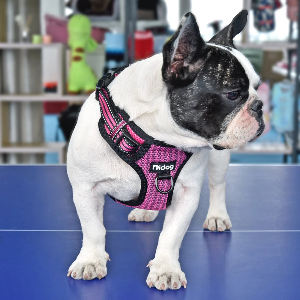 03-Pettorina Regolabile Riflettente per Cani – Comoda Sicura Disponibile in Vari Colori