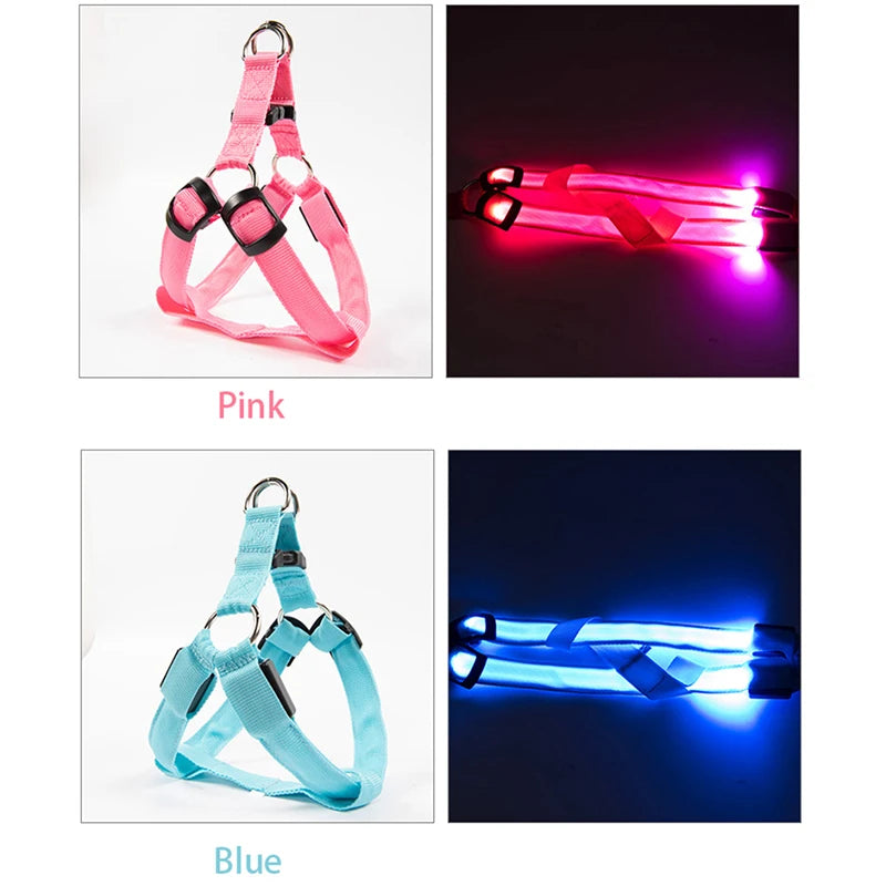 001-Imbracatura LED per cani | Pettorina sicura e luminosa - Dog Harness