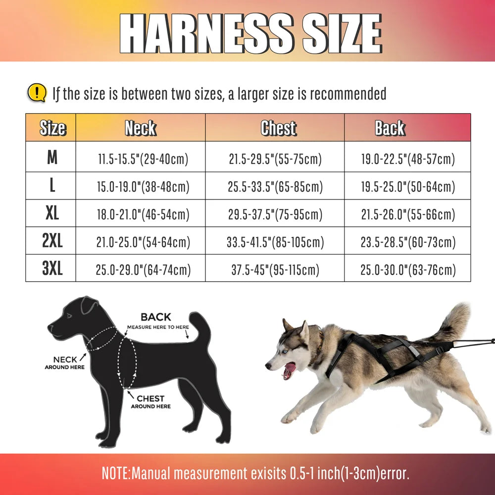 03-Imbracatura da Slitta per Cani XL – Training & Avventura Invernale