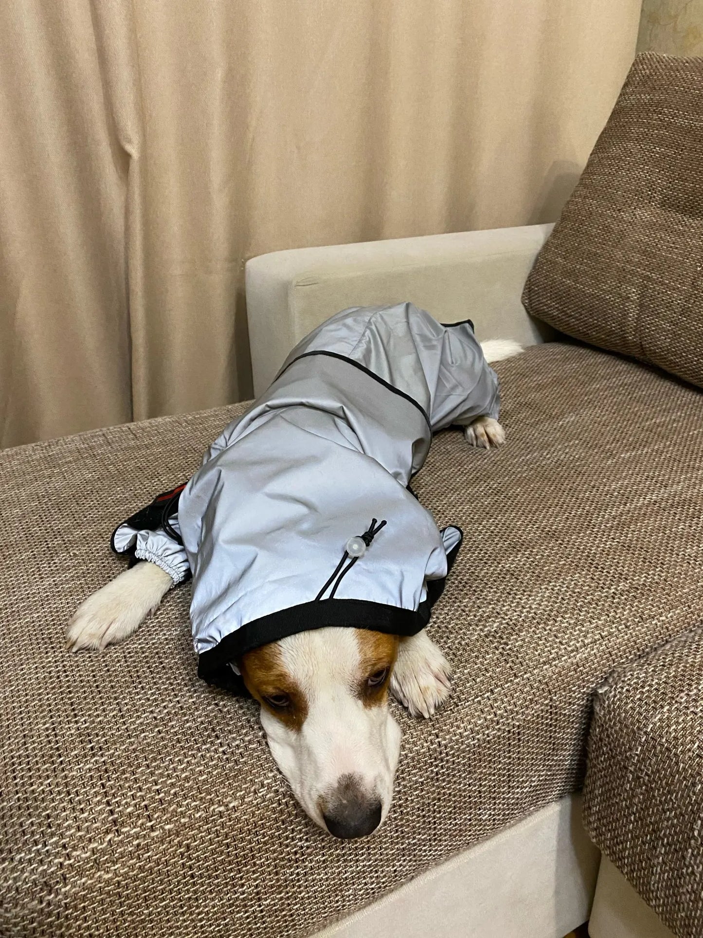 Reflective Pet Dog Jumpsuit Waterproof Raincoat Sunscreen Dog Outdoor Clothes Jacket for Small Medium Large Dog Pet Supplies