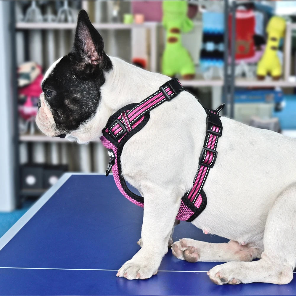 03-Pettorina Regolabile Riflettente per Cani – Comoda Sicura Disponibile in Vari Colori