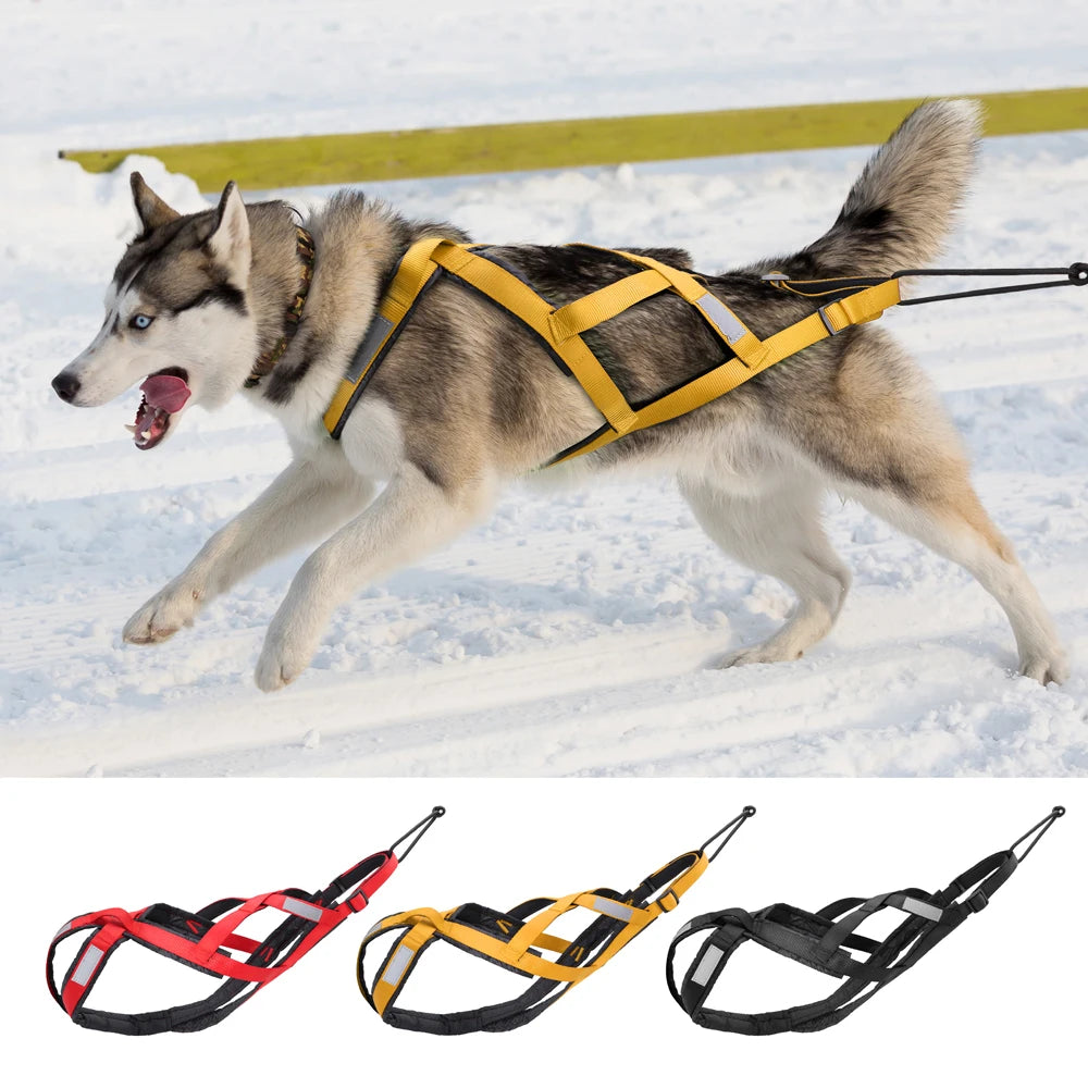03-Imbracatura da Slitta per Cani XL – Training & Avventura Invernale