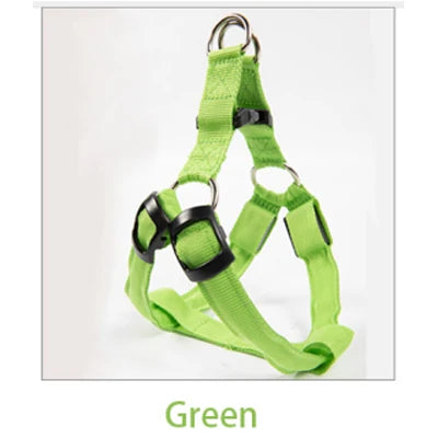 001-Imbracatura LED per cani | Pettorina sicura e luminosa - Dog Harness