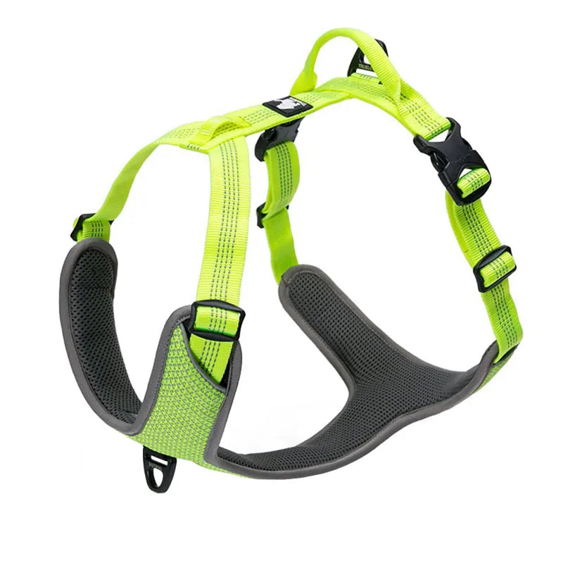 03-Pettorina Truelove Riflettente con Maniglia Antistrappo
