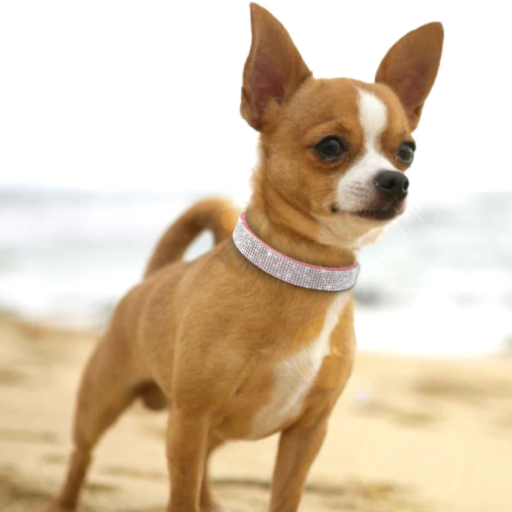Rhinestone Dog Cat Collar Suede Leather Puppy Cats Kitten Collar for Small Dogs Chihuahua Yorkshire French Bulldog
