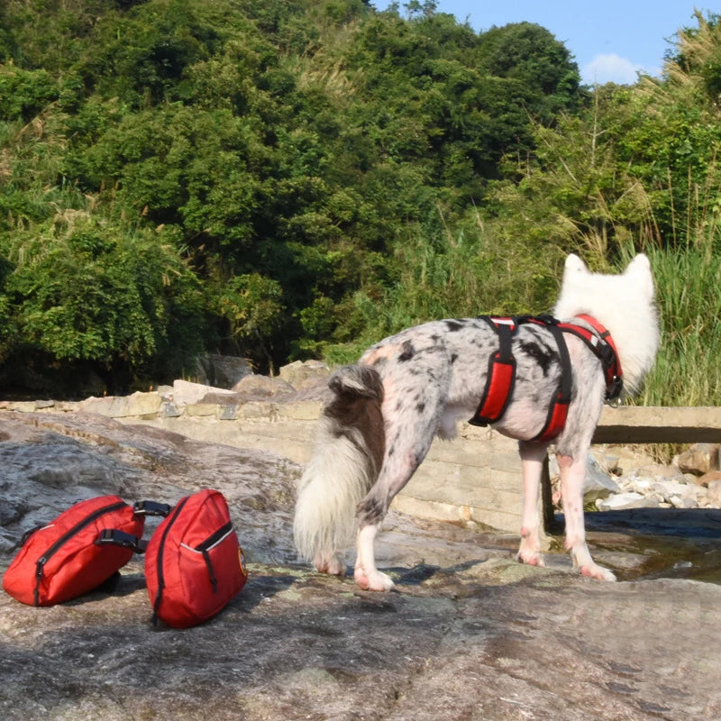 03-Zaino Removibile per Cani – Pettorina Pratica da Trekking