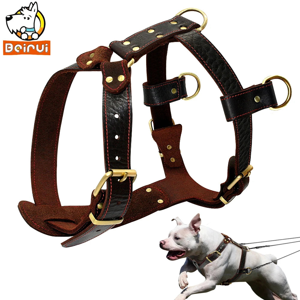 03-Pettorina in Cuoio Marrone – Regolabile per Cani di Taglia Grande