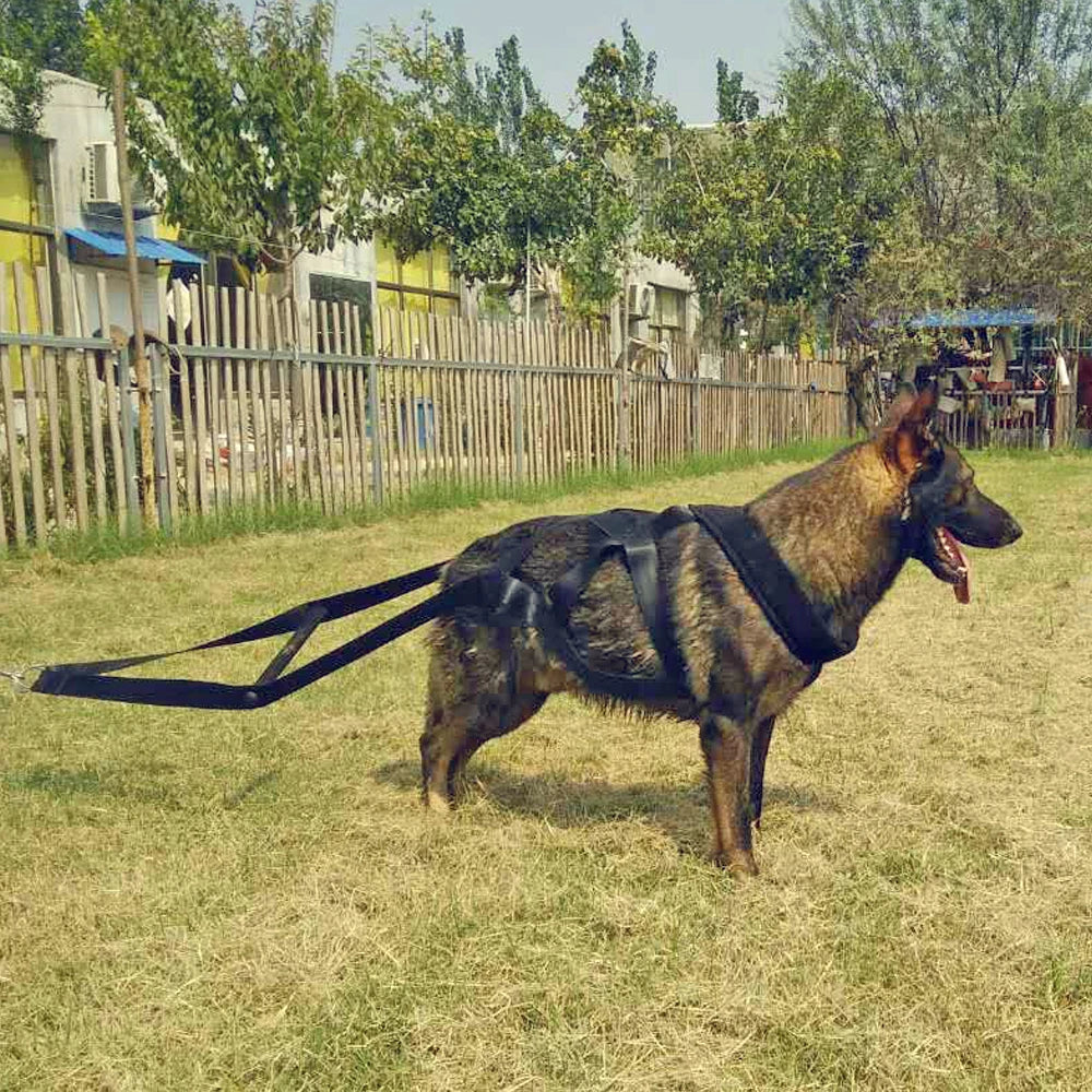 001-Pettorina da Trascinamento per Cani di Grossa Taglia