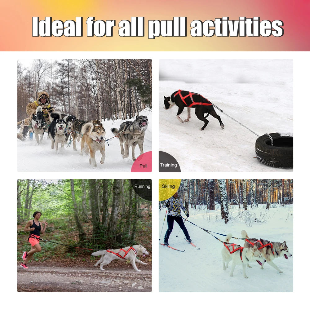 03-Imbracatura da Slitta per Cani XL – Training & Avventura Invernale
