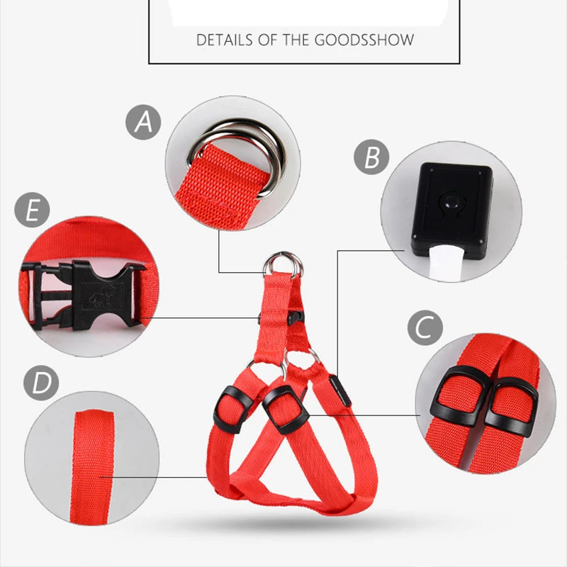 001-Imbracatura LED per cani | Pettorina sicura e luminosa - Dog Harness