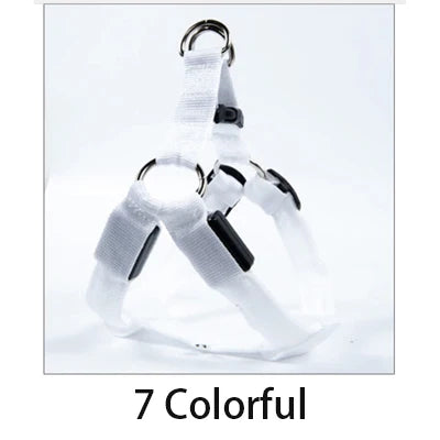 001-Imbracatura LED per cani | Pettorina sicura e luminosa - Dog Harness