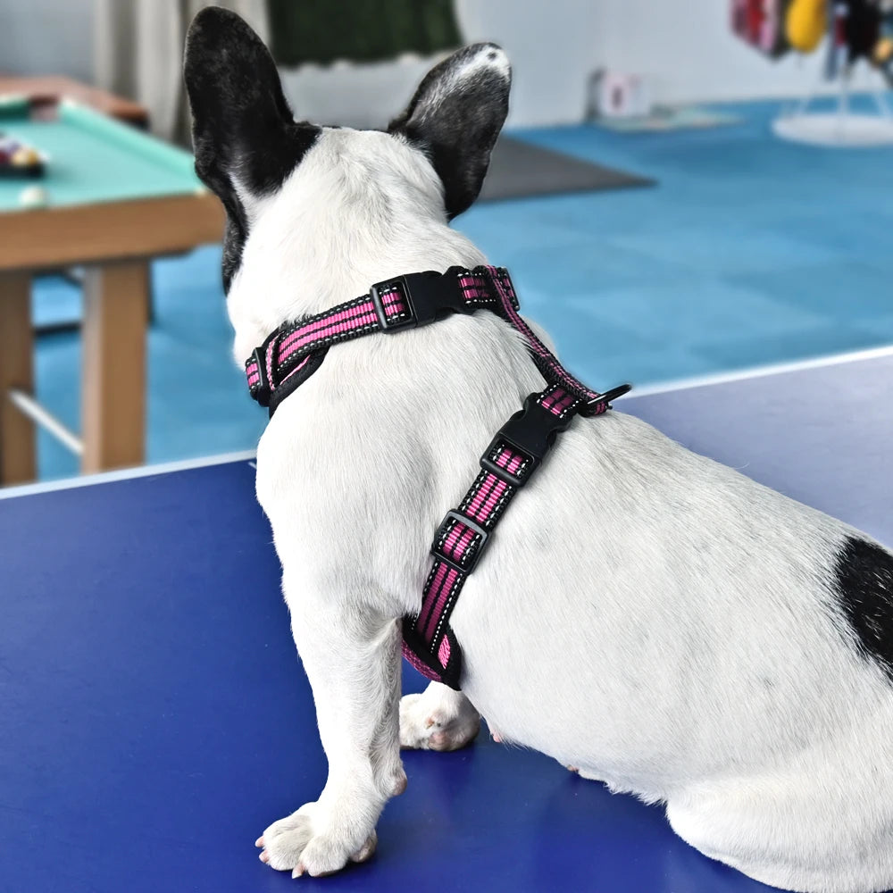 03-Pettorina Regolabile Riflettente per Cani – Comoda Sicura Disponibile in Vari Colori