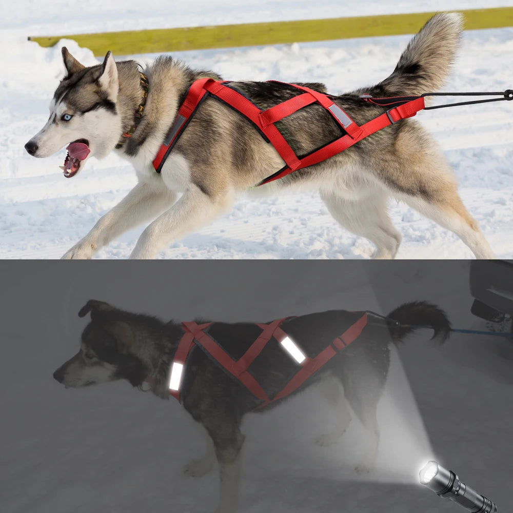 03-Imbracatura da Slitta per Cani XL – Training & Avventura Invernale