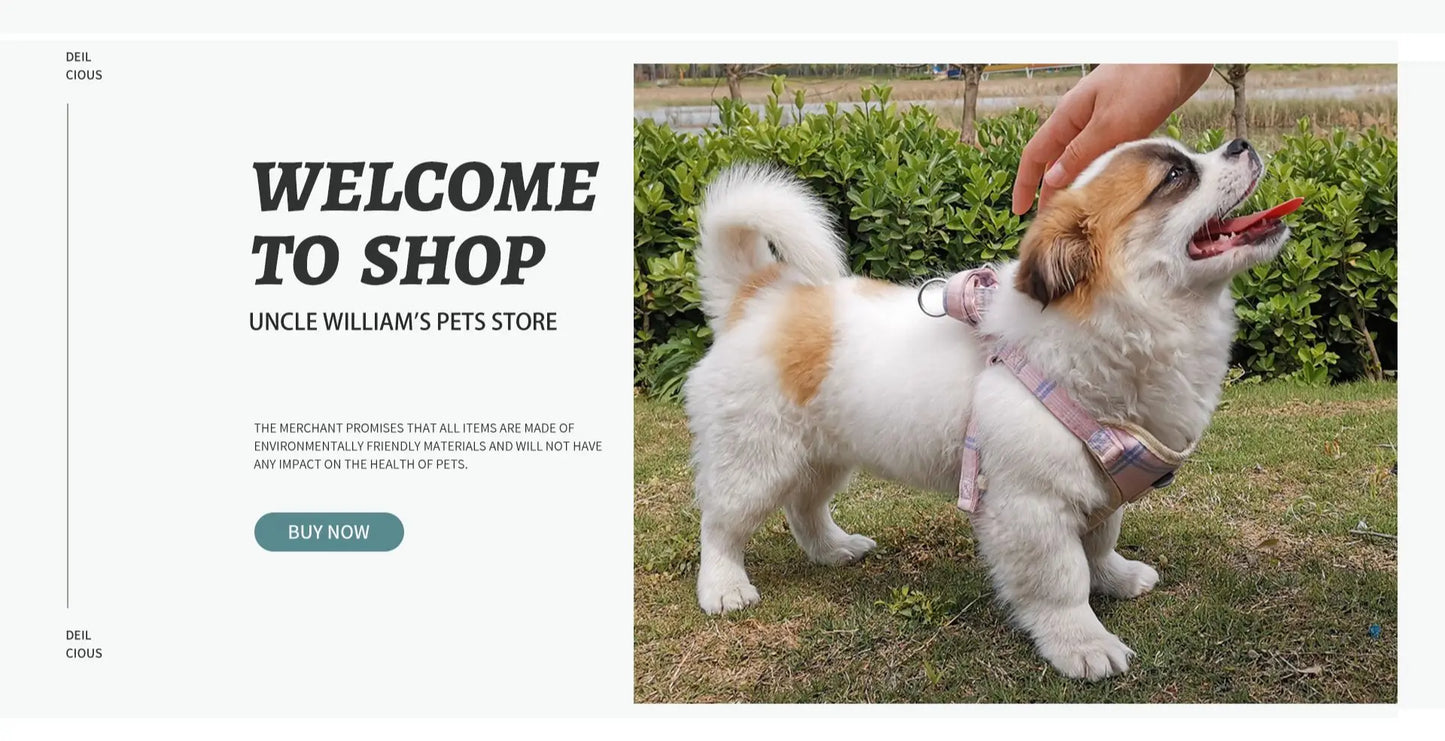 03-Gilet Tattico Regolabile per Cani Piccoli – Outdoor & Allenamento