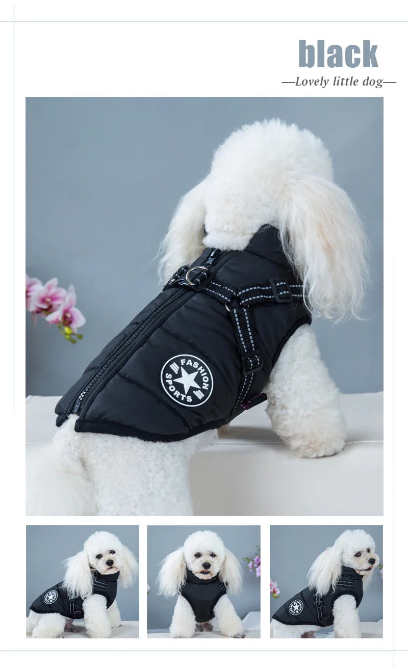 Pet Dog Jacket With Harness Winter Warm Dog Clothes For Labrador Waterproof Small Dog Coat Chihuahua French Bulldog Outfits