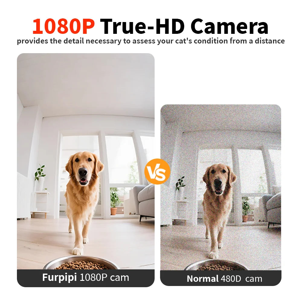 001-Dispenser 8 litri videocamera 1080p Video 5G WiFi Registratore vocale