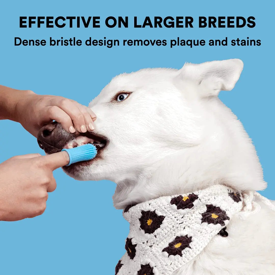 Pet cleaning supplies accessories cat and dog shower brushes pet nail clippers files cat and dog finger toothbrushes