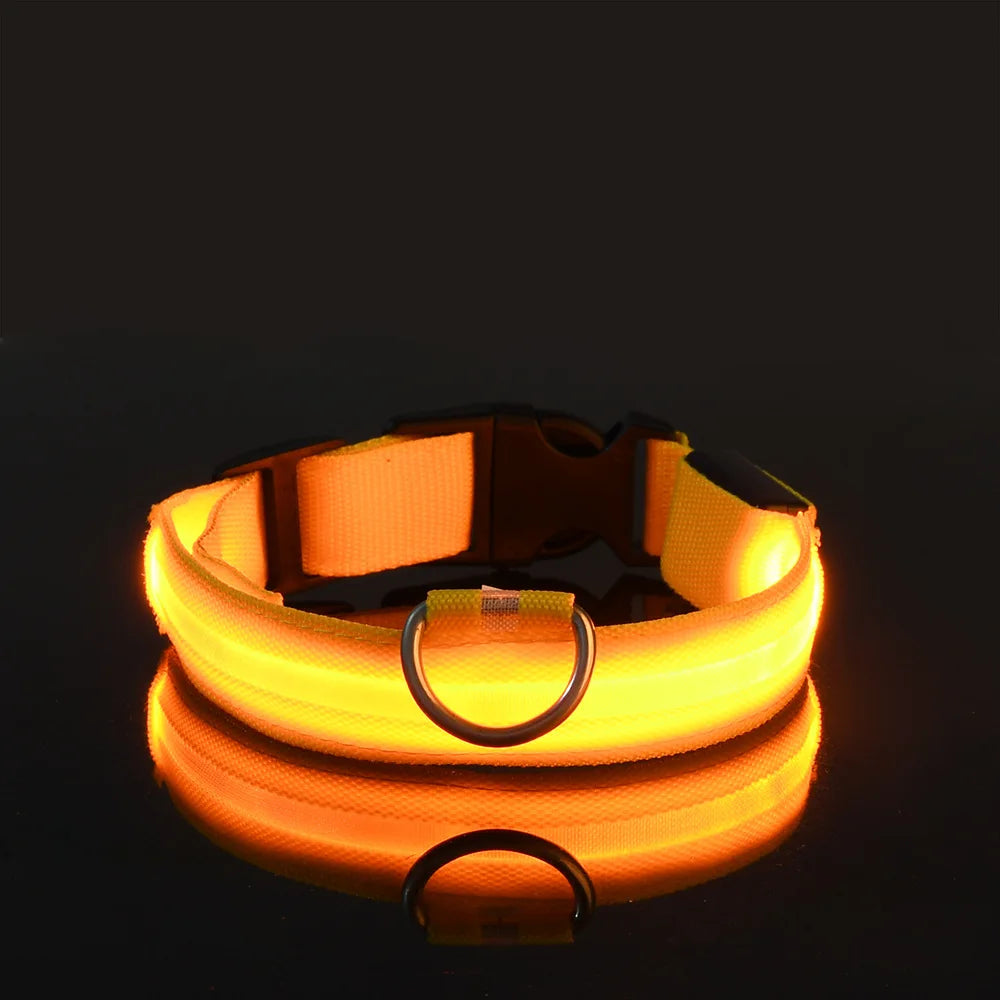 05-Collare luminoso regolabile.