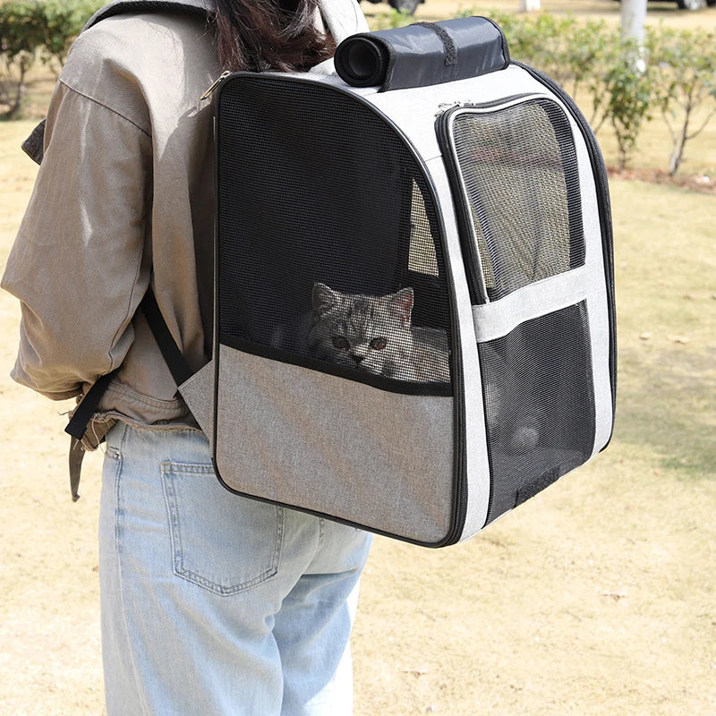 Trasportini Pet Cat Backpacks Breathable Outdoor Cat Carrier Shoulder Bag for Small Dogs Cats Portable Travel Folding Backpack Pet Supplies