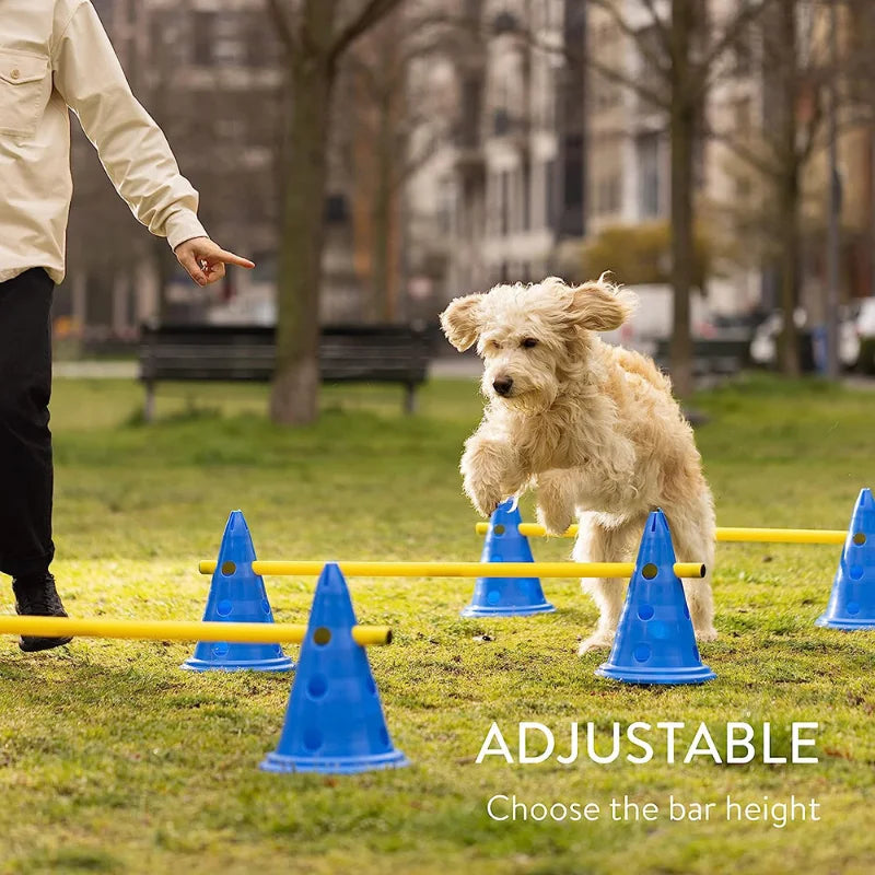04-Pet Agility Training.