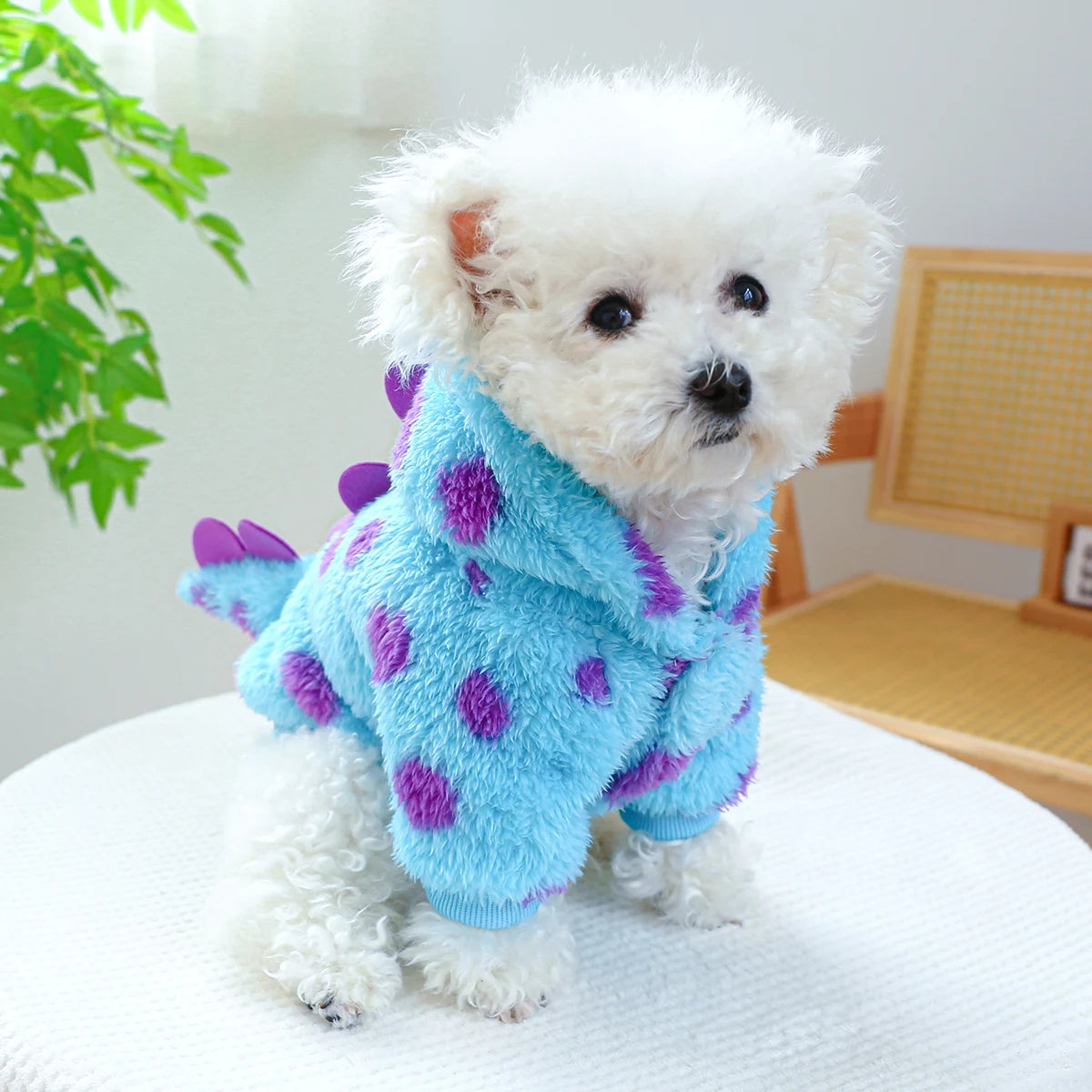 Vestiti 1PC Pet Clothing Dog Cat Autumn and Winter Thickened Warm Blue Dinosaur Hooded Coat With Drawstring Buckle For Small Medium Dogs