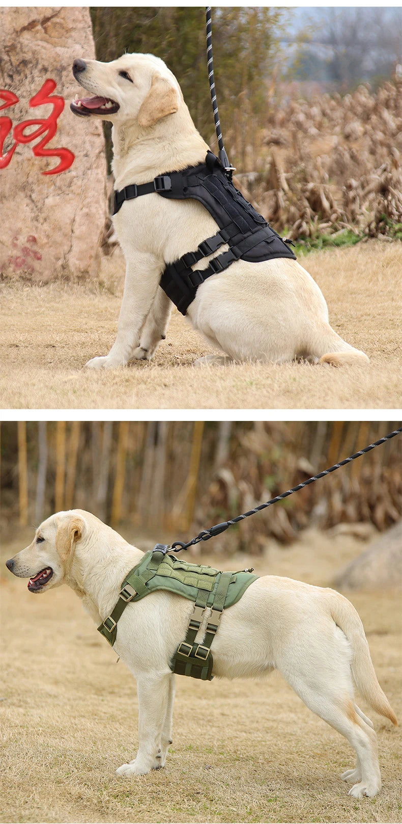 Pettorina Tactical Dog Harness with Handle and Leash Military Dog Walking Accessory for Rottweiler Medium Large Dog Puppy Harness