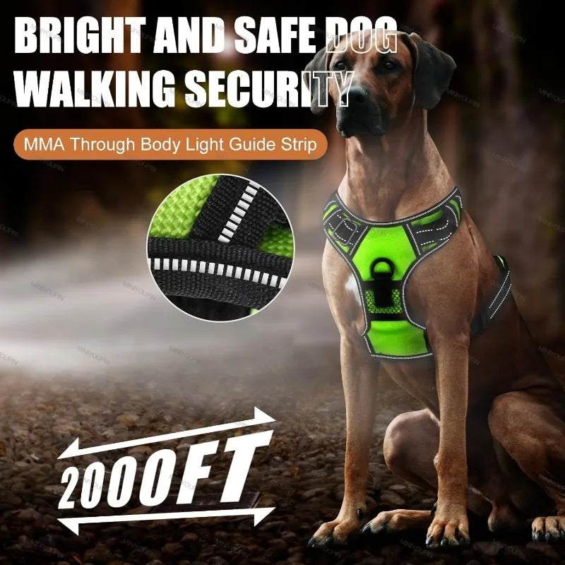 Pettorina LED luminosa per cani – Pettorina con modalità di luce a LED, essenziale per la sicurezza durante le passeggiate notturne, ricaricabile e con tre modalità di illuminazione.