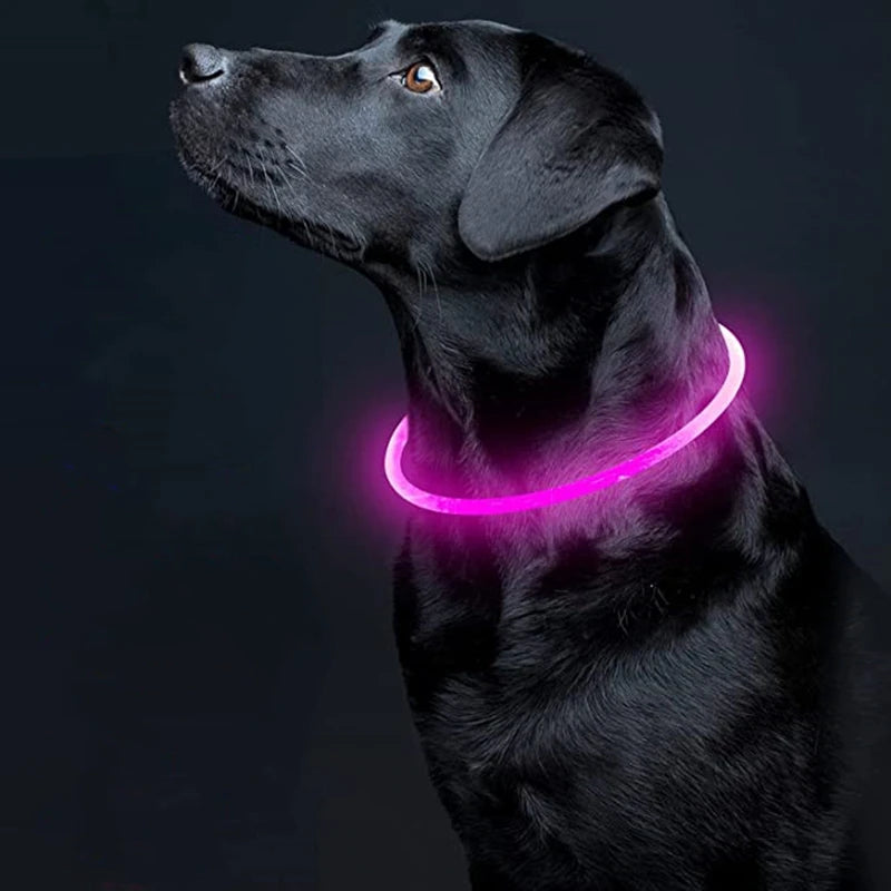 05-Collare USB a LED per Passeggiate Notturne con il Cane
