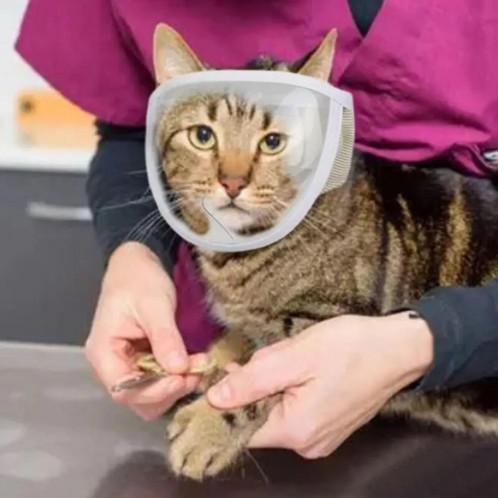 001-Museruola morbida anti-morso per gatti, regolabile e sicura
