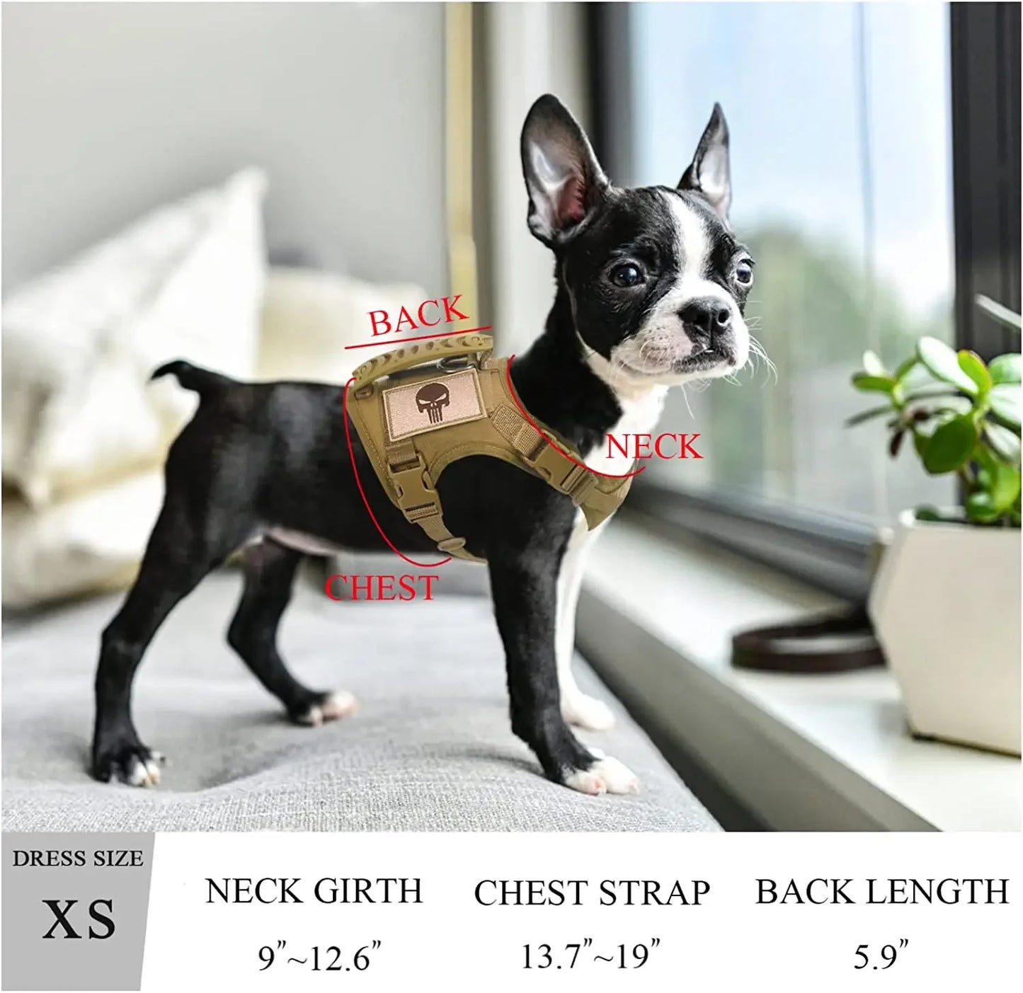 03-Gilet Tattico Regolabile per Cani Piccoli – Outdoor & Allenamento
