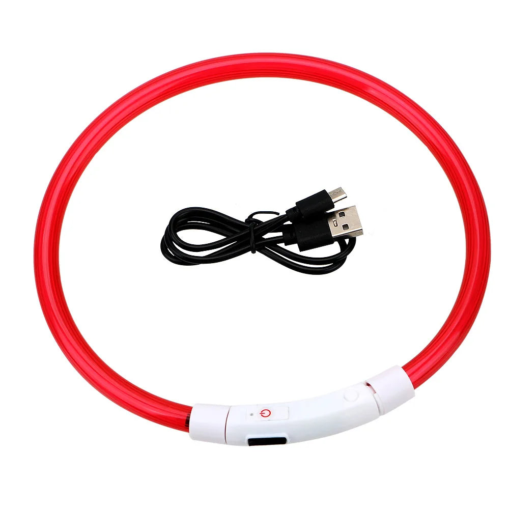 05-Collare USB a LED per Passeggiate Notturne con il Cane