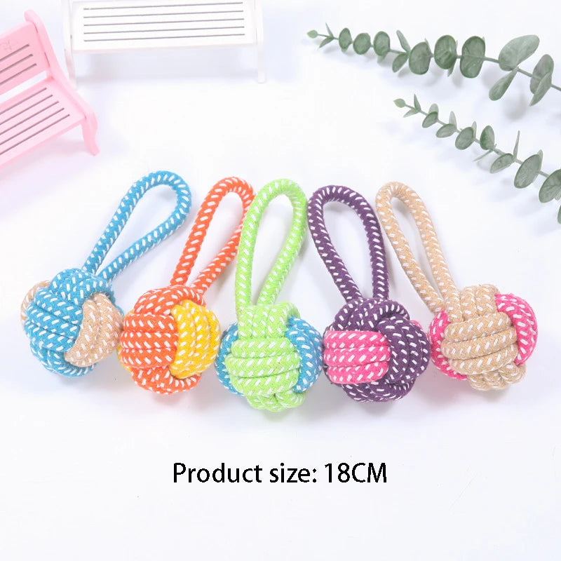 04-Gioco interattivo pet Toys.