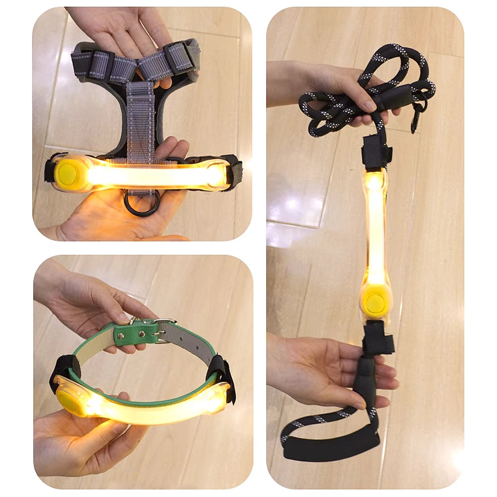 05-Collare luminosi per cani anti smarrimento.