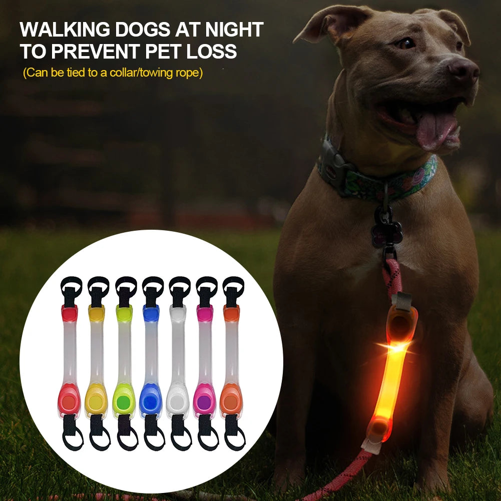 05-Collare luminosi per cani anti smarrimento.