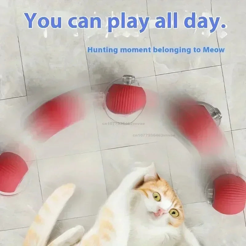 04-Giocattolo Interattivo per Gatti con Coda Elettronica