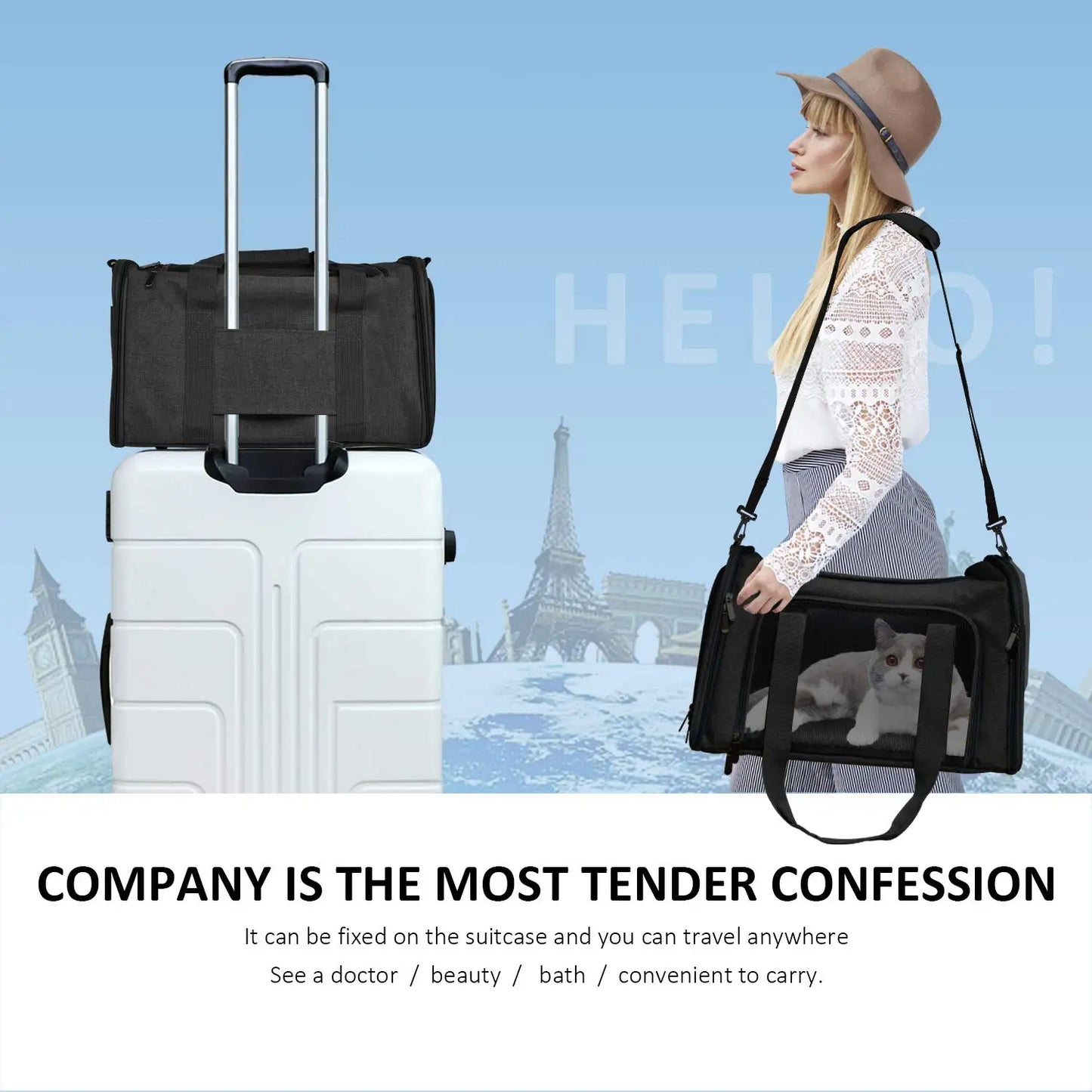 Trasportini Dog Carrier Bag Soft Side Backpack Pet Carriers Travel Bags Airline Approved Transport For Cats Puppies up to 15 Lbs Outgoing