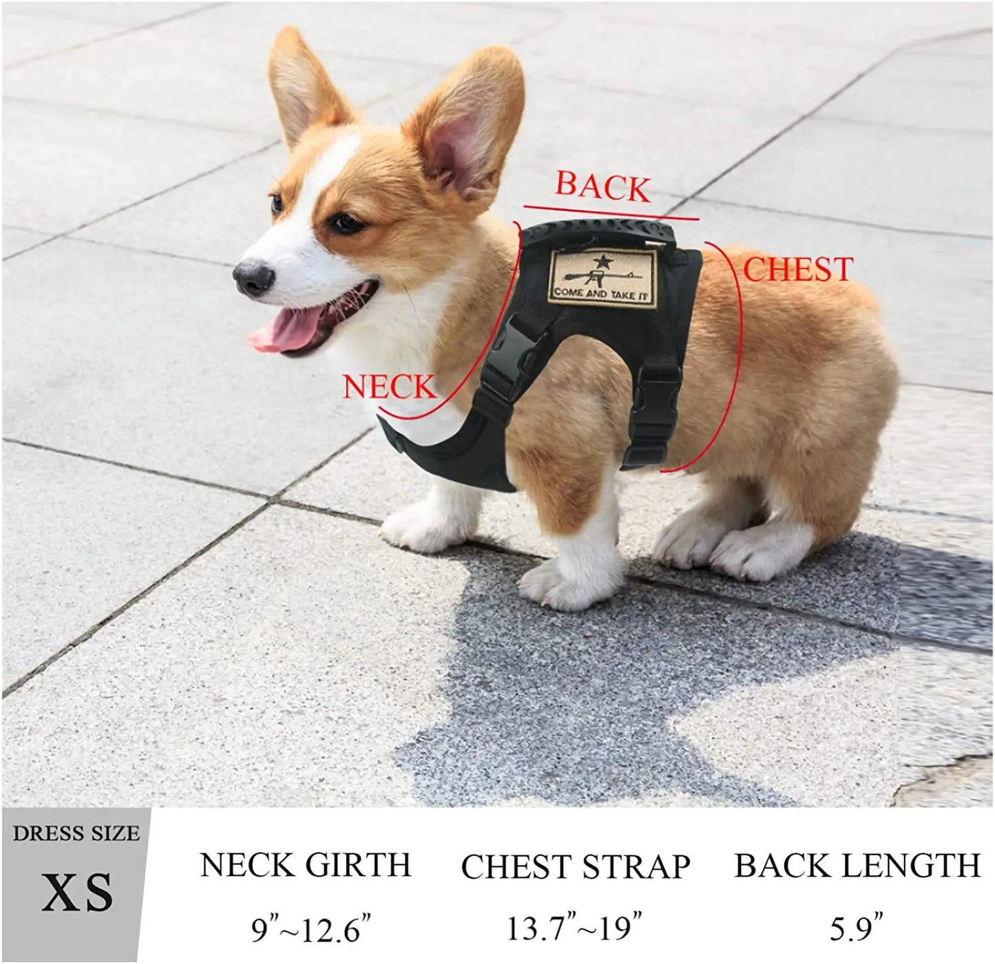 03-Gilet Tattico Regolabile per Cani Piccoli – Outdoor & Allenamento