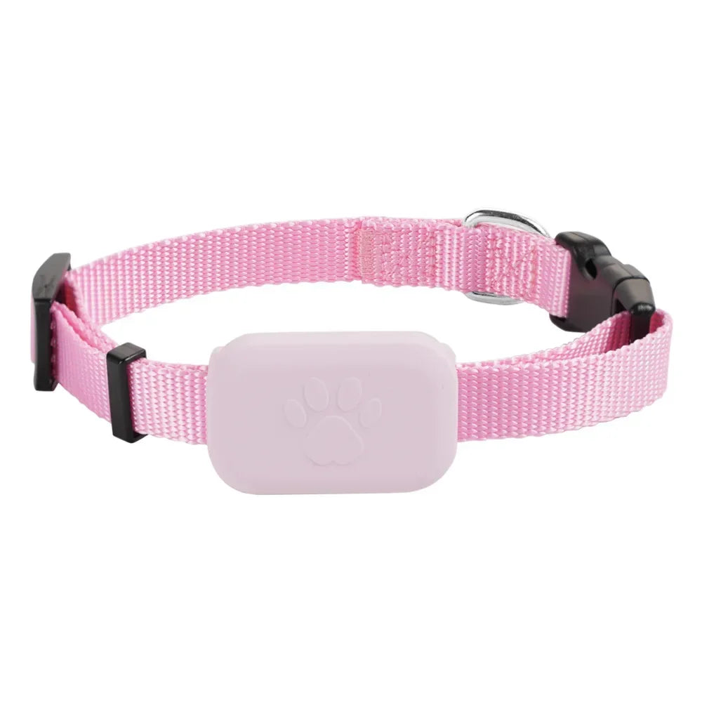 05-Bluetooth GPS Tracker Dog.