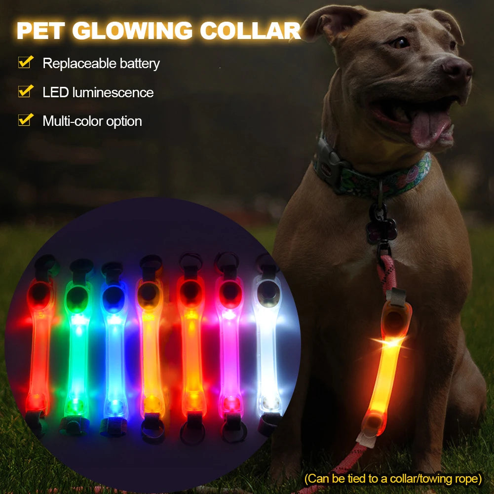 05-Collare luminosi per cani anti smarrimento.