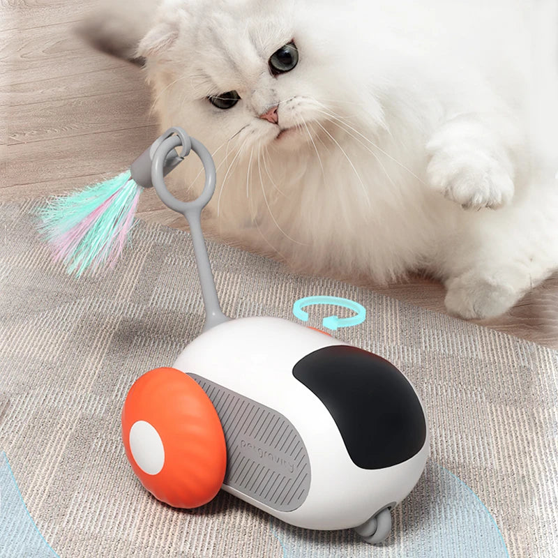 04-Gioco intelligente e interattivo tra animali domestici.