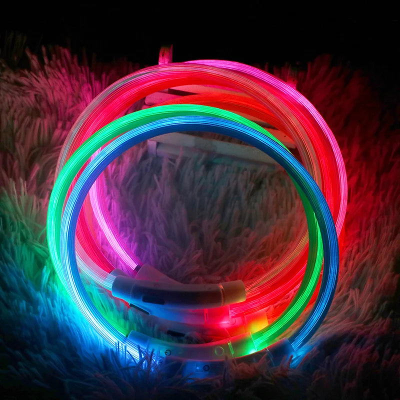 05-Collare USB a LED per Passeggiate Notturne con il Cane