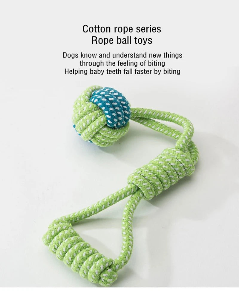 04-Gioco interattivo pet Toys.
