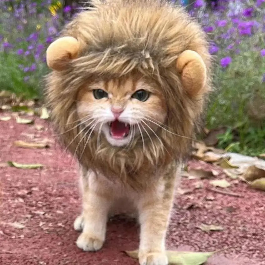Vestiti New Cute Funny Pets Clothes Cap Cute Cat Wig Lion Mane Costume Cosplay Kitten Dog Hat with Ears Fancy Party Supplies