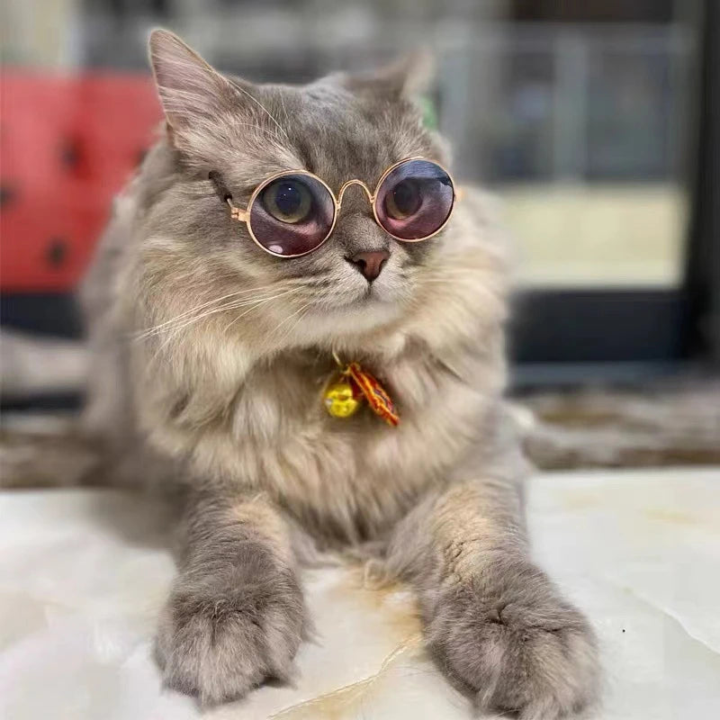 001-Occhiali Tondi Vintage per Cani e Gatti