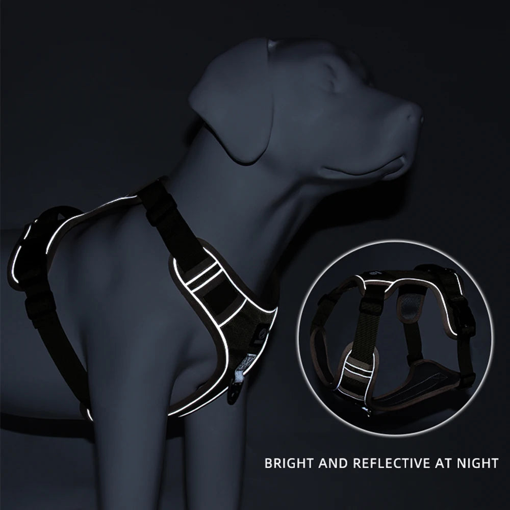 03-Comfort e Controllo – Pettorina per Bulldog & Cani Robusti