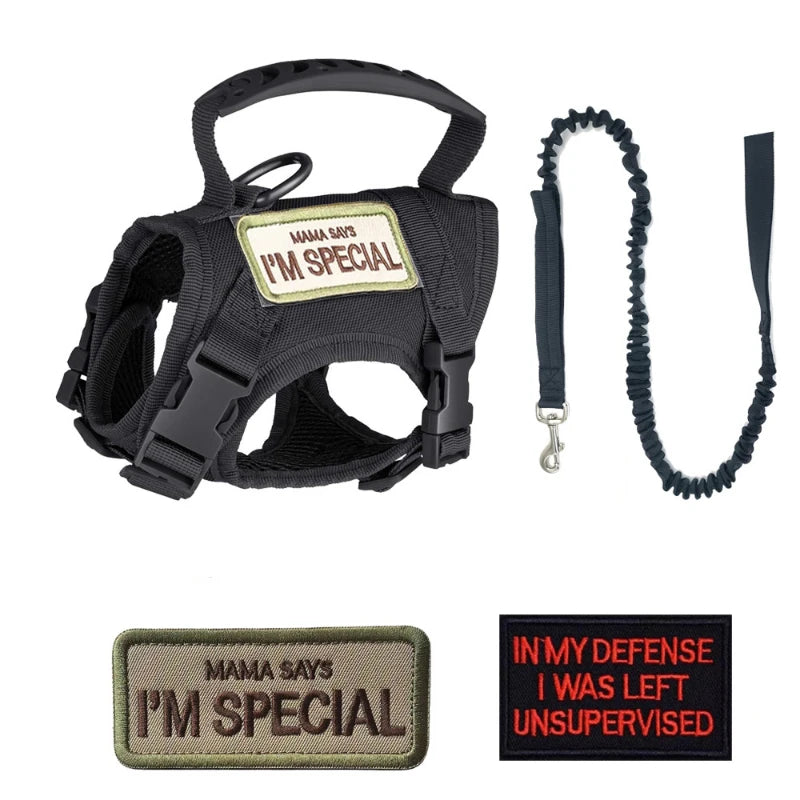 Tactical Harness Vest Dog Harness Leash Set for Small Dogs Training Easy Control Vest Pet Chest Strap Accessories for Puppy Cat