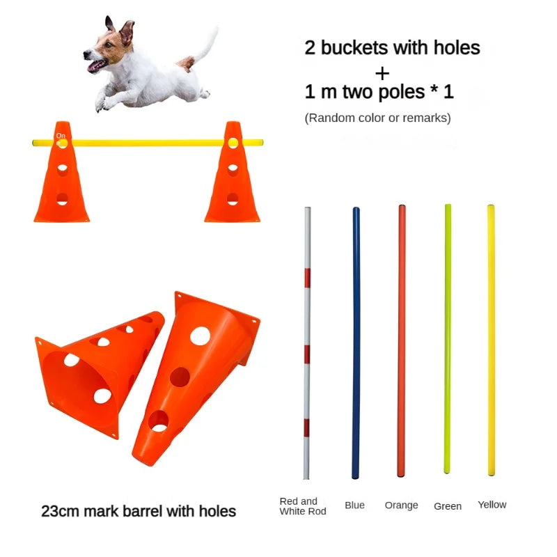 04-Pet Agility Training.