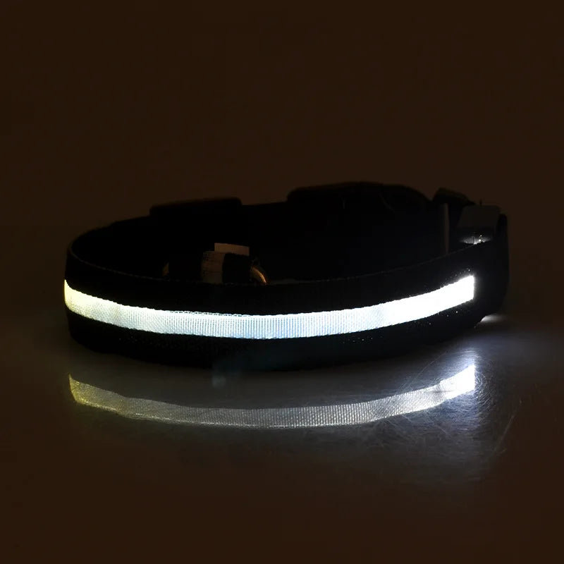 05-Collare luminoso regolabile.
