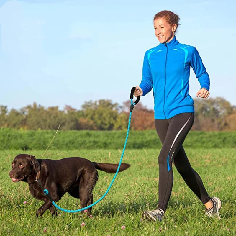 Strong Pet Dog Leash with Soft Padded Handle,Highly Reflective Rope for Night Walking,Suitable for Small,Medium and Large Dog