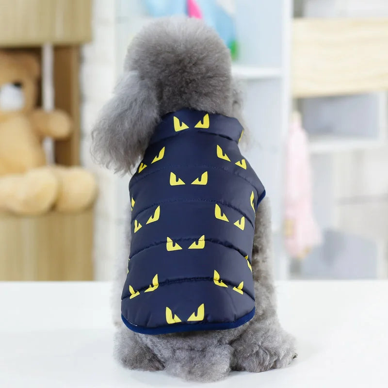07-Abbigliamento per cani di piccola taglia.